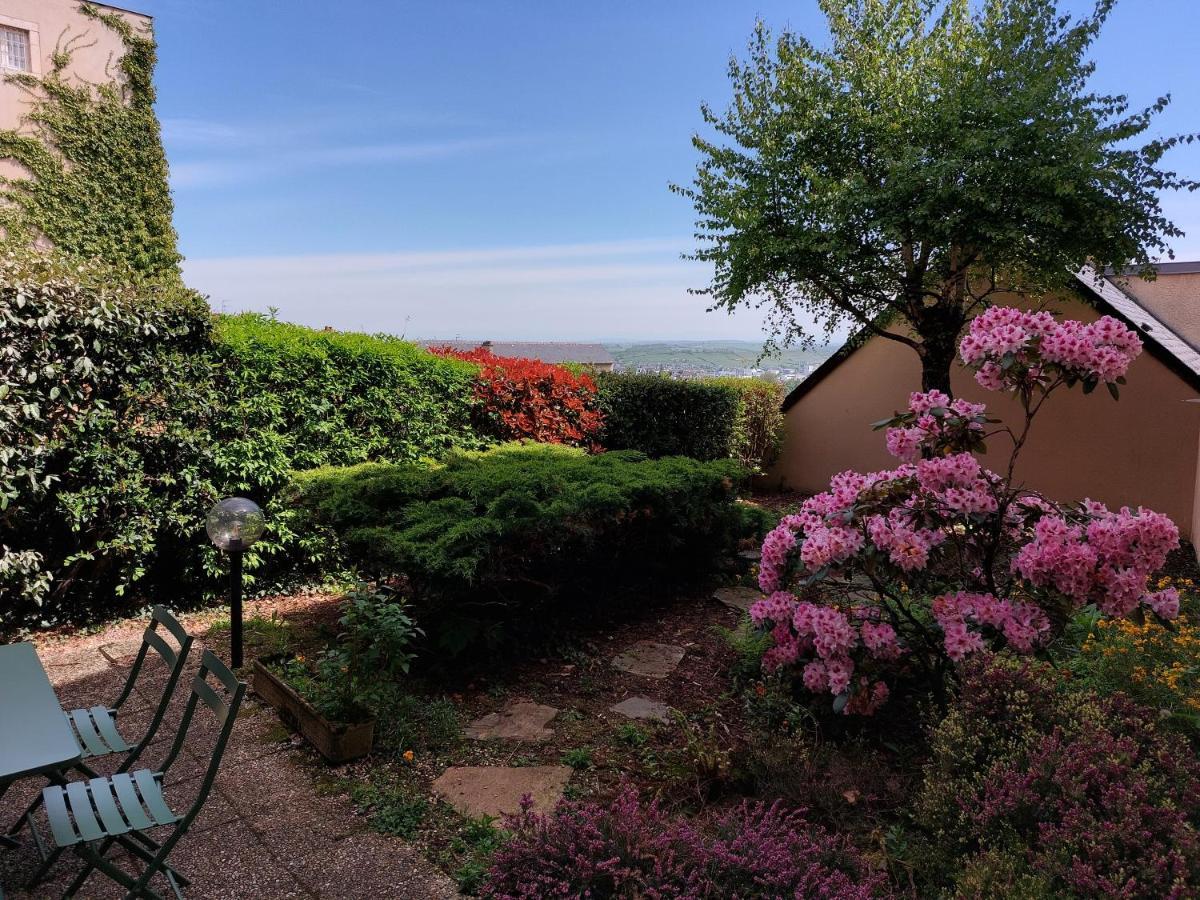Le Denyspuech 55M2 Plein Centre Avec Jardin! Lejlighed Rodez Eksteriør billede